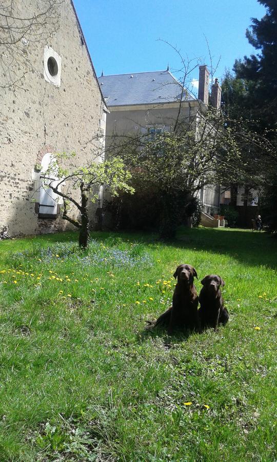 La Sauldre Bed & Breakfast Vailly-sur-Sauldre Luaran gambar