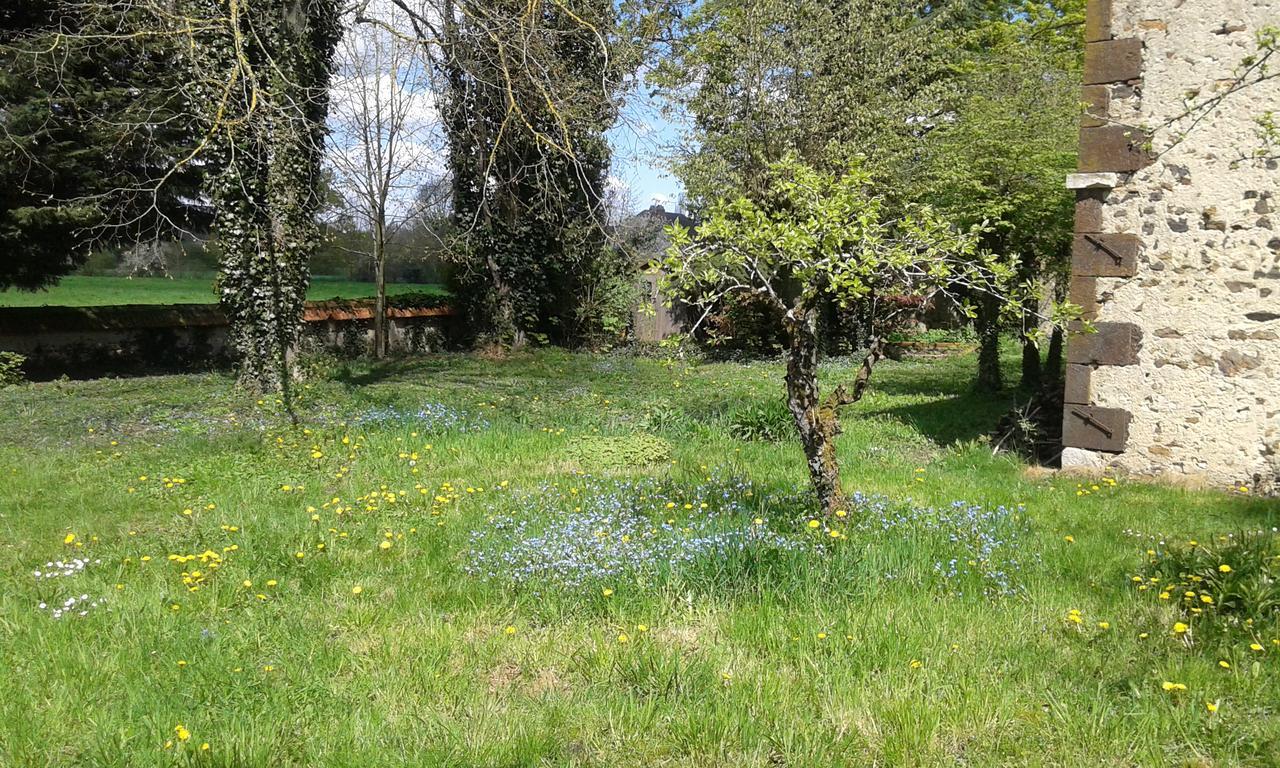 La Sauldre Bed & Breakfast Vailly-sur-Sauldre Luaran gambar